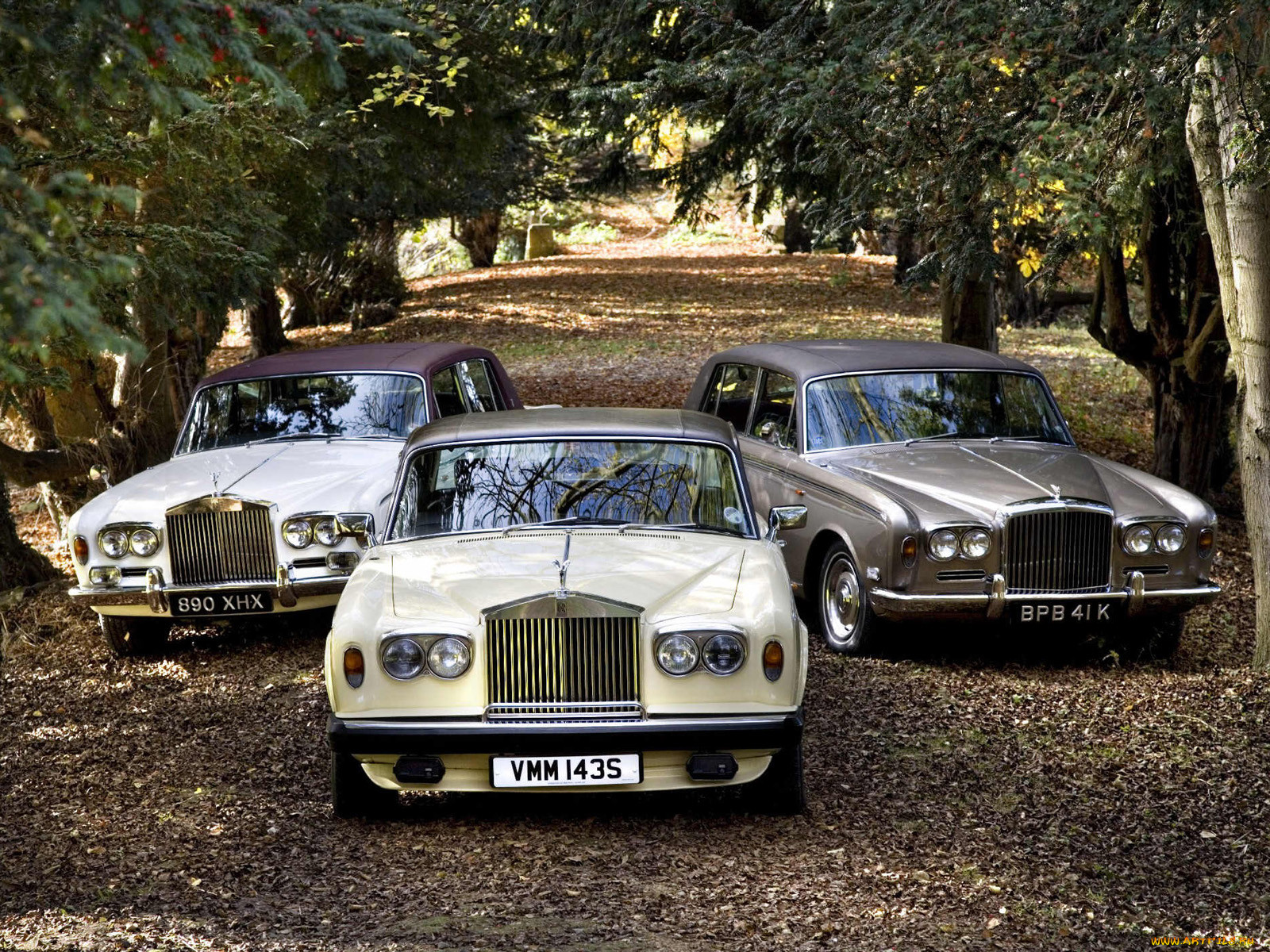 , rolls, royce